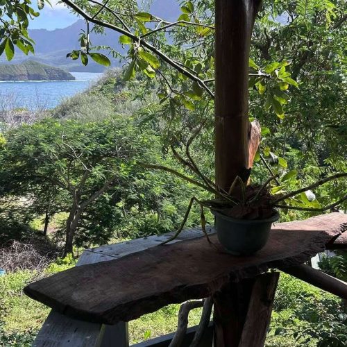 La vue depuis la terrasse du bungalow Hanamio Hill à Hiva Oa